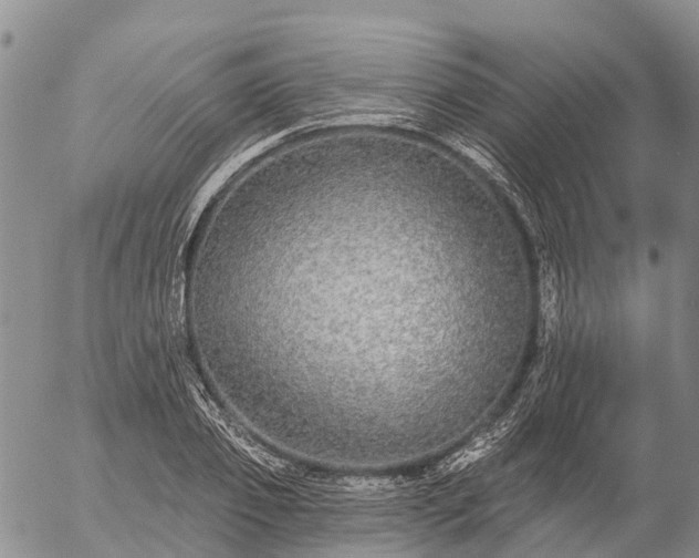 X0000057090933200509161626