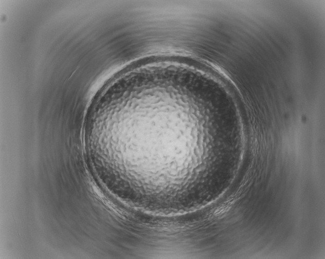 X0000057090935200509161626