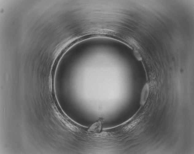 X0000057090940200509161626