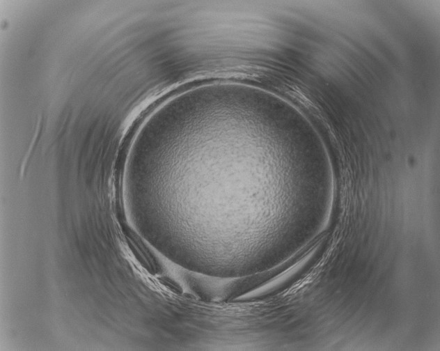 X0000057090944200509161626