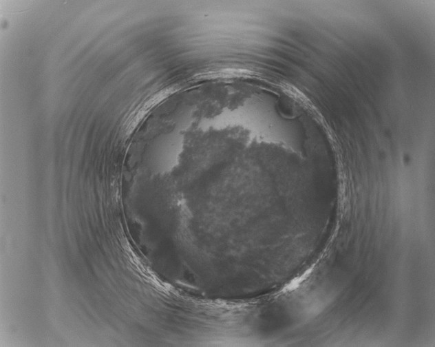 X0000057090945200509161626