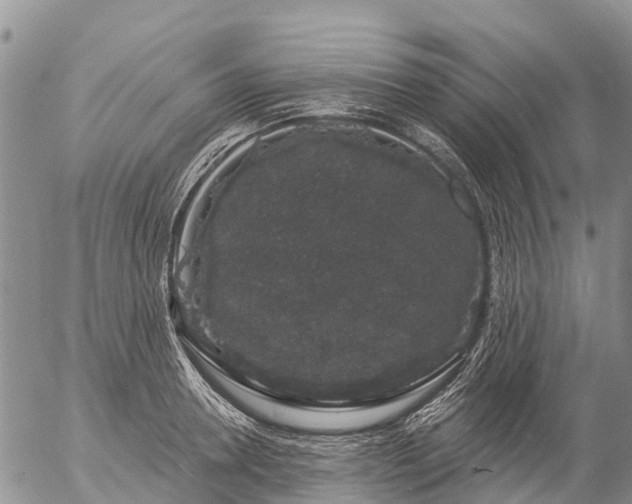 X0000057090946200509161626