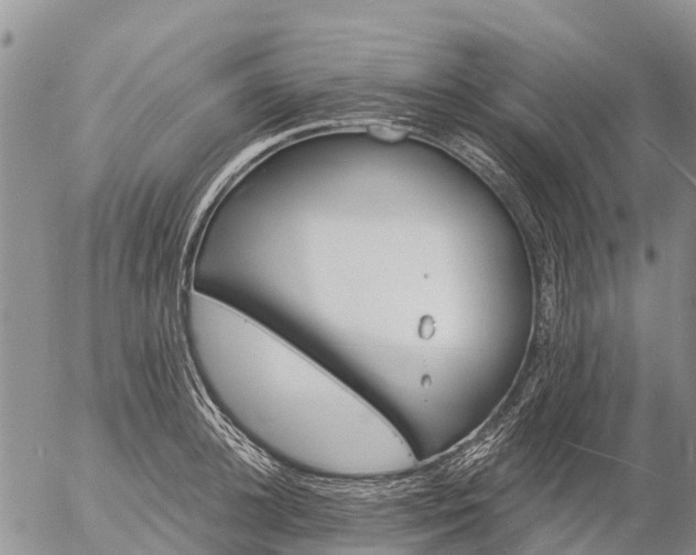 X0000057090948200509161626