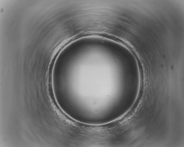 X0000057090949200509161626