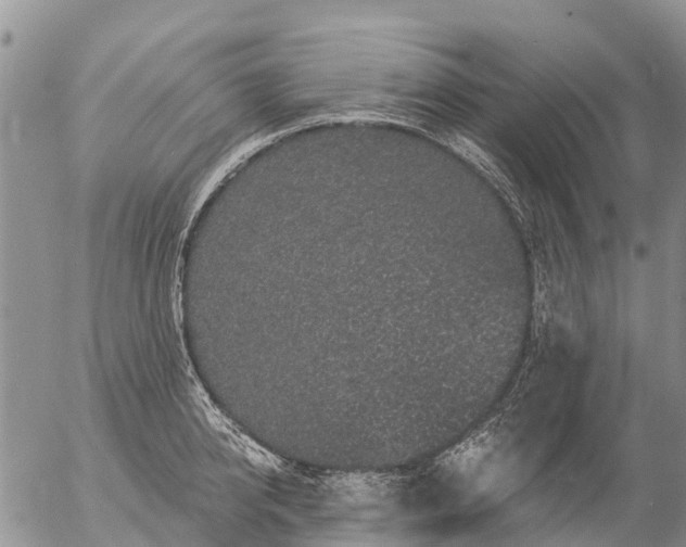 X0000057090950200509161626