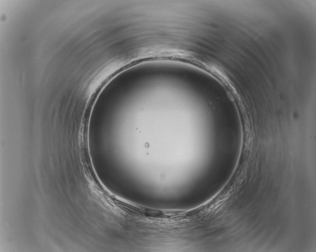 X0000057090952200509161626