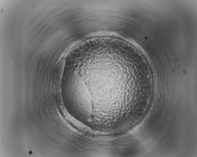 X0000057090953200509161626