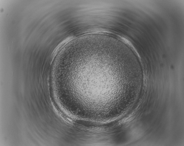 X0000057090954200509161626