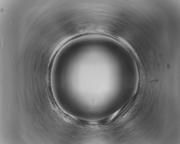 X0000057090956200509161626