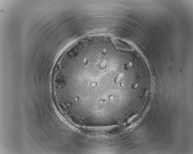 X0000057090957200509161626