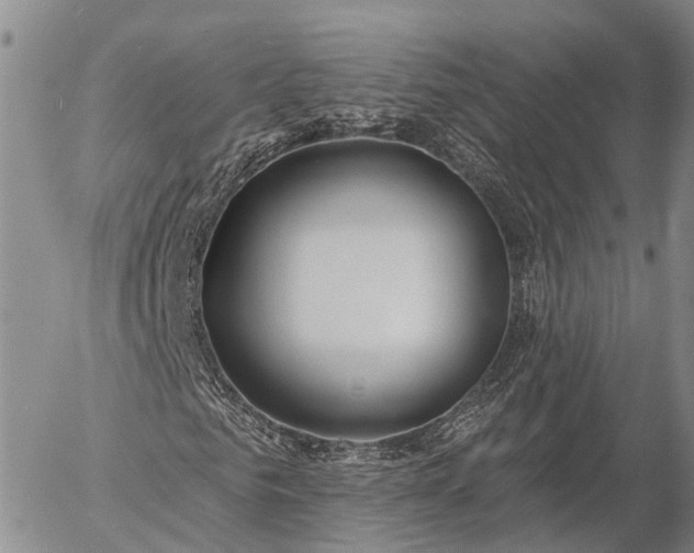 X0000057090961200509161625