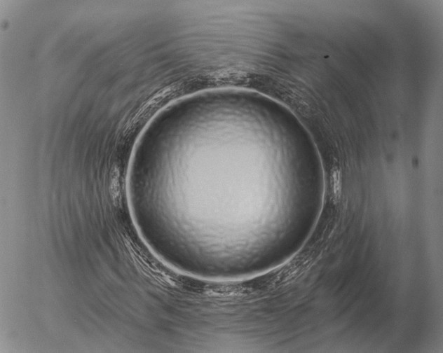 X0000057090963200509161625