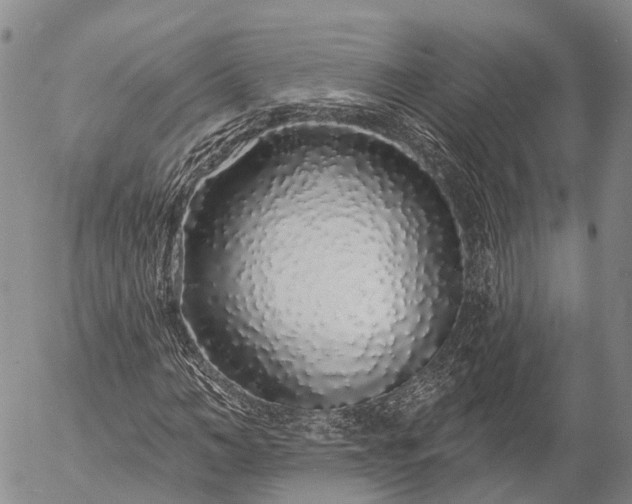 X0000057090966200509161625