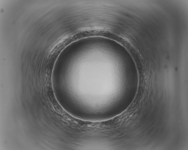 X0000057090967200509161625