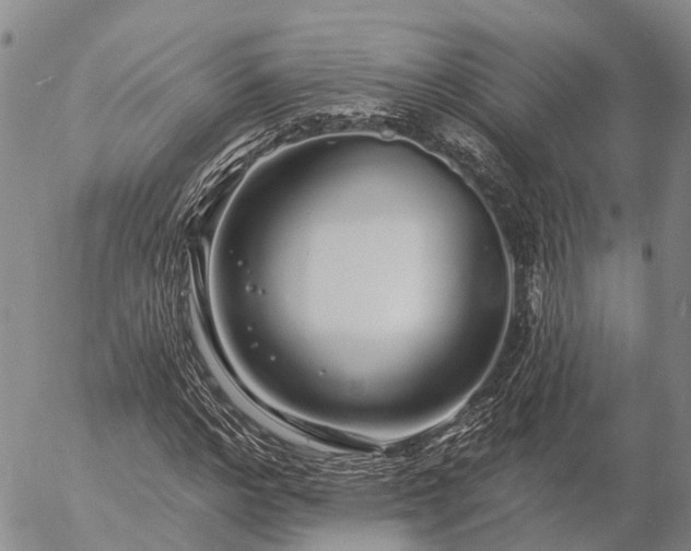 X0000057090968200509161625