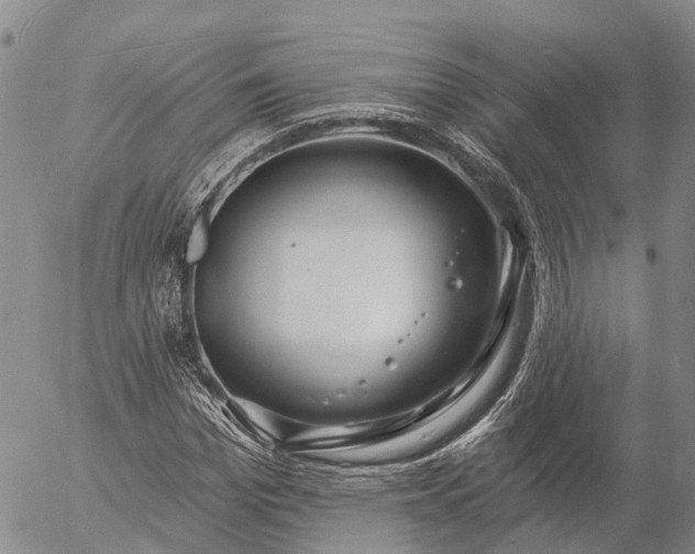 X0000057090969200509161625