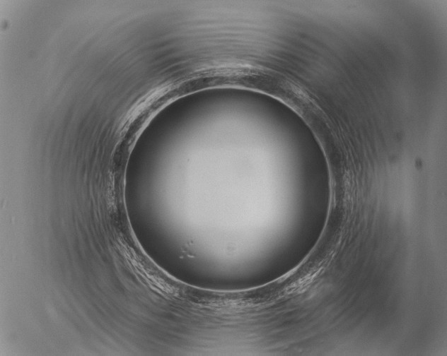 X0000057090970200509161625