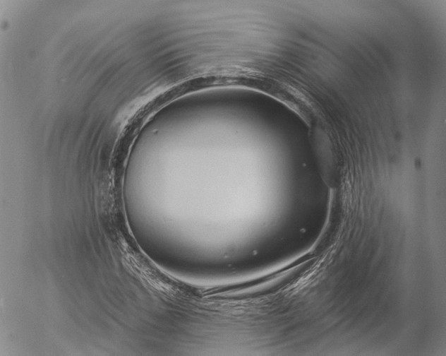 X0000057090971200509161625