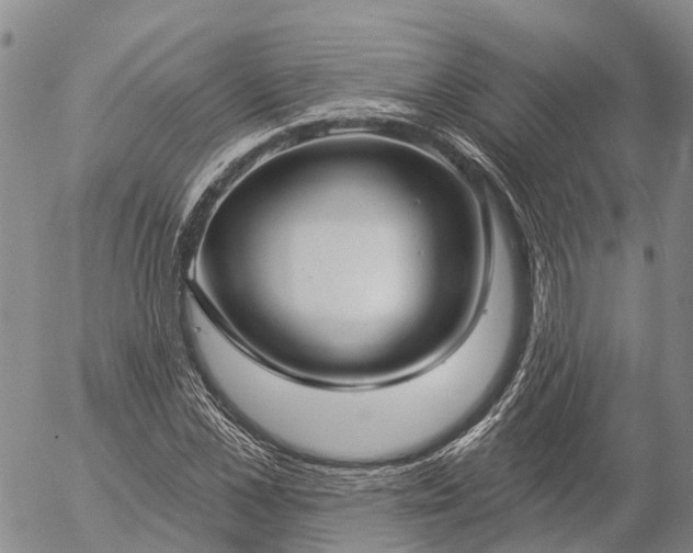 X0000057090973200509161625