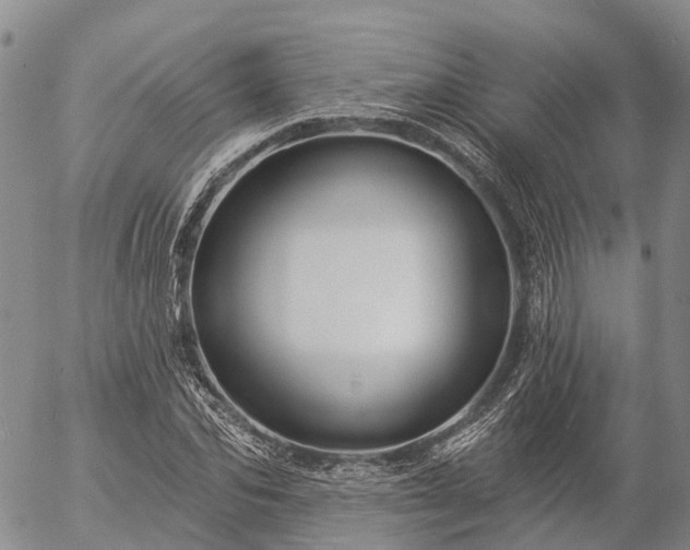 X0000057090974200509161625