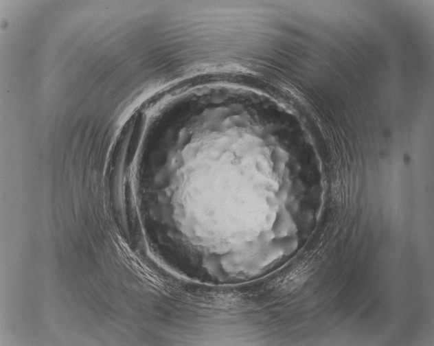 X0000057090975200509161625