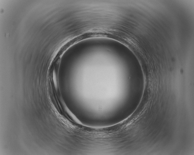 X0000057090976200509161625