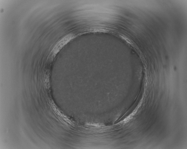 X0000057090977200509161625