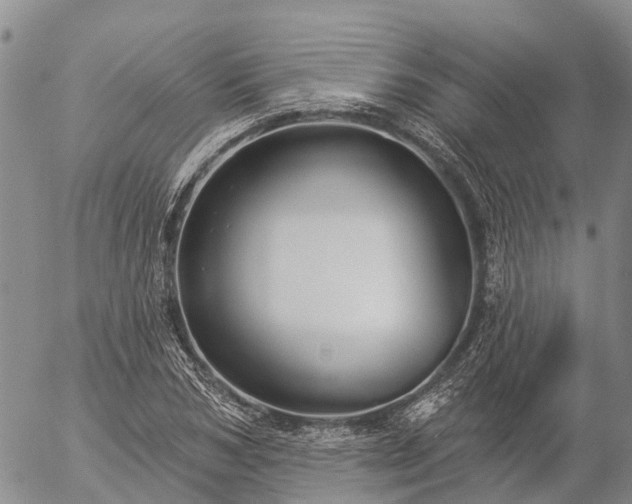 X0000057090978200509161625