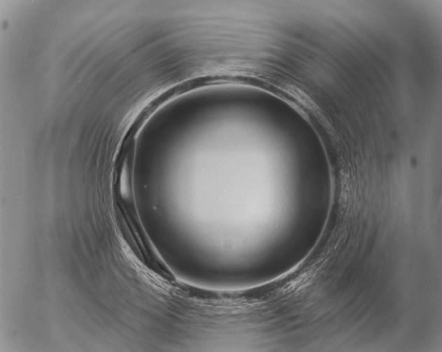 X0000057090980200509161625