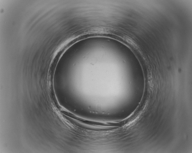 X0000057090981200509161625