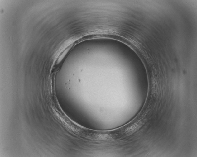 X0000057090982200509161625