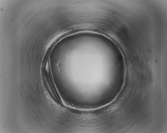 X0000057090983200509161625