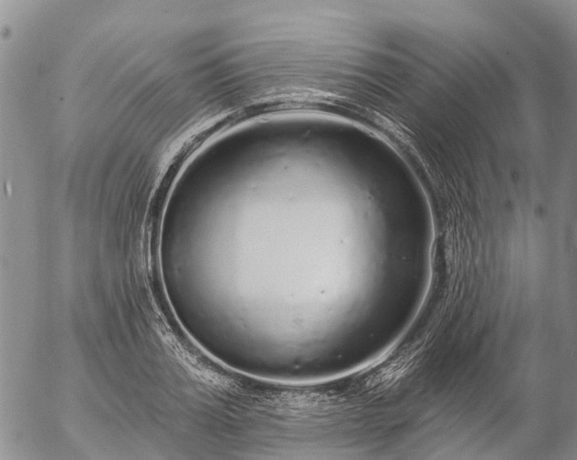 X0000057090987200509161625