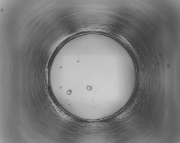 X0000057090988200509161625