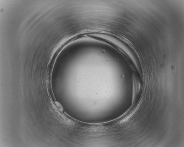 X0000057090989200509161625