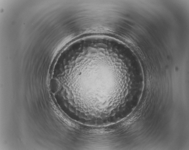 X0000057090990200509161625