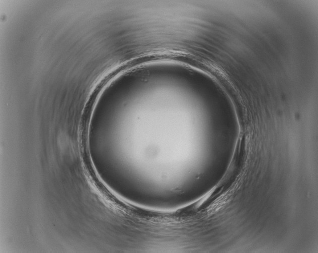 X0000057090991200509161625