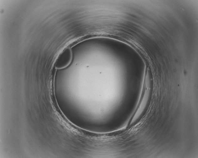 X0000057090992200509161625