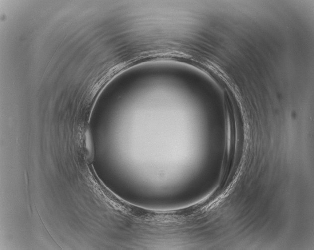 X0000057090993200509161625