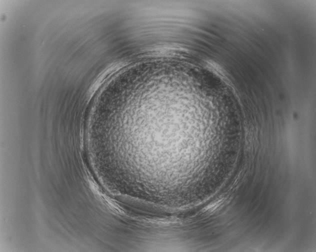 X0000057090994200509161625