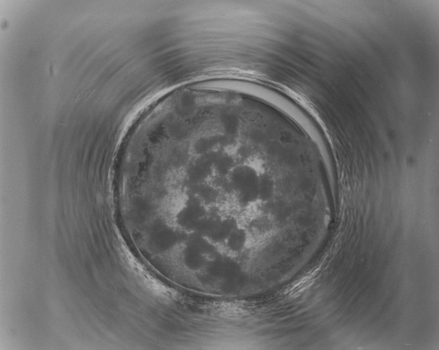 X0000057090995200509161625