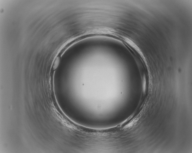 X0000057090996200509161625