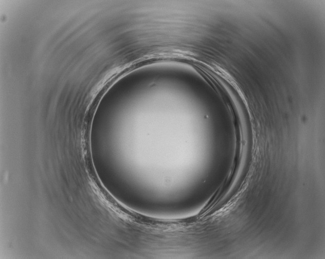 X0000057090997200509161625