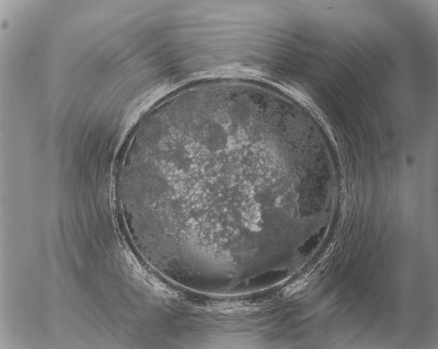 X0000057090998200509161625