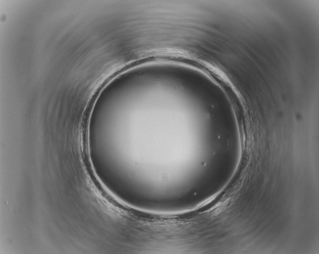 X0000057090999200509161625