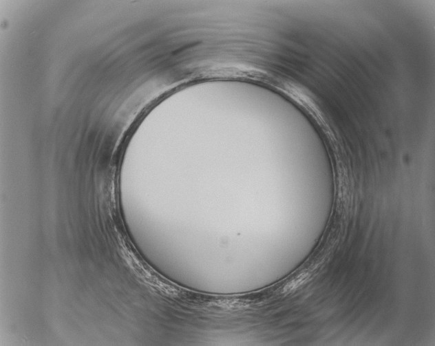 X0000057091000200509161625