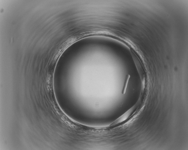 X0000057091001200509161625