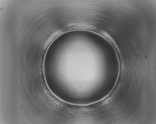 X0000057091002200509161625