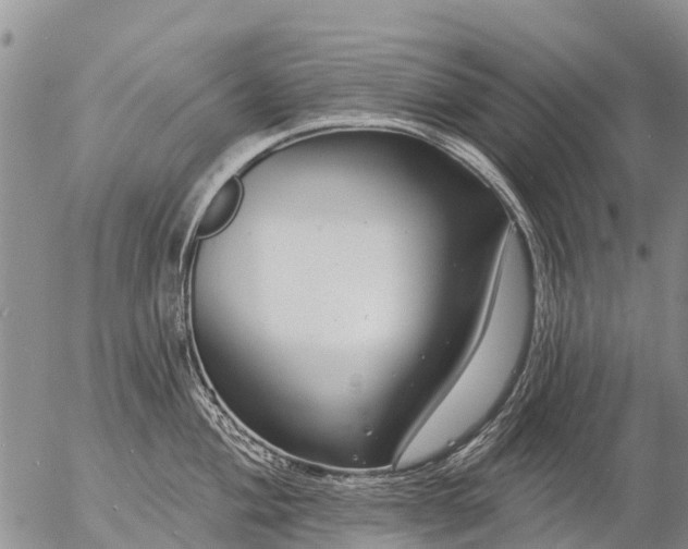 X0000057091004200509161625