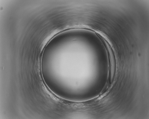 X0000057091006200509161624